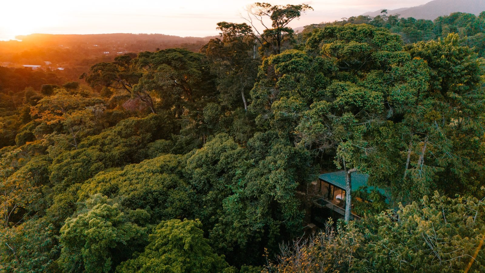 Sunset over the canopy